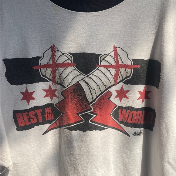 all elite wrestling Other - Vintage Best in the World Graphic Tee - All Elite Wresting 2XL